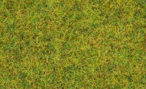 Sachet de 20 g Herbe de pré d'été de 2.5 mm