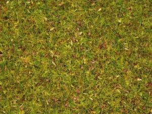Sachet de 20 g D'herbe avec fleurs de 2.5 mm