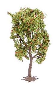 Sorbier 11.5 cm de hauteur