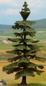 Arbre - Sapin Nordmann de 14,5 cm de hauteur