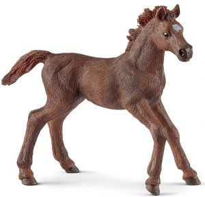 SHL13857 - Figurine de l'univers des chevaux - Poulain Pur-Sang Anglais
