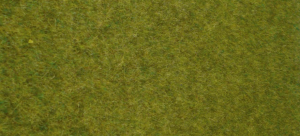 HEK1861 - Tapis 45x17cm d'herbes sauvages terrain boisé
