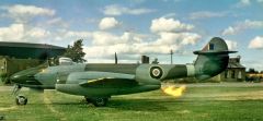 REV03830 - Maquette à assembler et à peindre - Gloster Meteor 1er édition