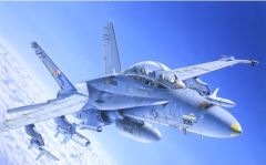 ITA0016 - Maquette à assembler et à peindre - F/A-18C/D Wild Weasel