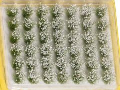NOC07028 - Lot de 42 touffes d'herbes blanches