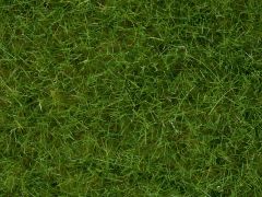 NOC07092 - Flocage vert clair 100g 6mm en pot