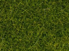 NOC07098 - Flocage herbe sauvage 80g 12mm en pot