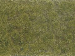 NOC07254 - Foliage de couleur vert , brun 12x18 cm