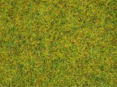 NOC08151 - Flocage herbe pré de printemps en pot de 120g
