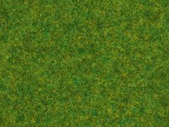 Sachet de 20g d'herbes gazon d'ornements - 2.5 mm