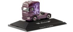 HER111102 - Camion solo transport STELZL – SCANIA R 13 TL 4x2