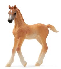 SHL13984 - Figurine de l'univers des chevaux - Poulain Arabe