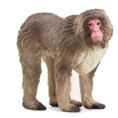SHL14871 - Figurine de l'univers des animaux sauvages - Macaque japonais