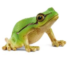 SHL14882 - Figurine de l'univers Wild Life - Rainette Verte