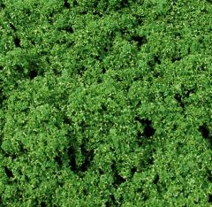 HEK1695 - Décor pour diorama - 300ml - Feuillage Artline fin couleur vert