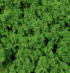 HEK1696 - Décor pour diorama - 300ml - Feuillage Artline grossier vert