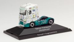 HER111065 - Camion solo TALMON TRASPORT – RENAULT T 4x2