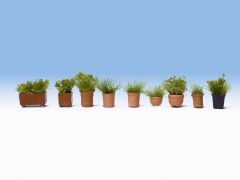 NOC14032 - 9 plantes vertes en pots