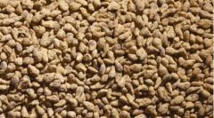 JUW23104 - Lot de 100grs de pommes de terre miniature pour diorama