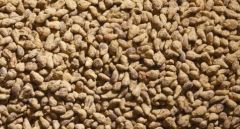 JUW23092 - Accessoire miniature – 150 grs de betteraves