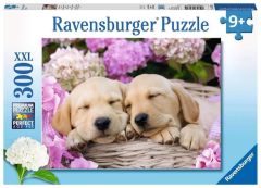 RAV132355 - Puzzle Chiens mignons dans un panier – 300 Pièces
