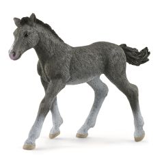 Figurine SCHELICH - Poulain Trakehnen