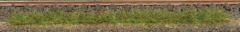 HEK1811 - 10 bandes d'herbes d'été 10 cm par lot