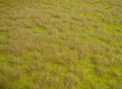 HEK1840 - Tapis 45x17cm d'herbes sauvages de savane