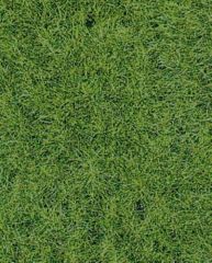 Tapis 40x24cm d'herbes sauvages terrain boisé