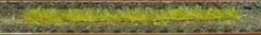 HEK1812 - 10 bandes d'herbes automne de 10cm par lot
