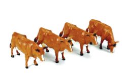 BRI40963 - 4 vaches debout de race Jersey