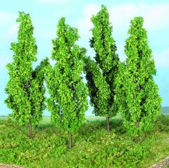 4 Arbres de 13 cm – Peupliers