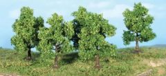 5 Arbres de 7 cm – Fruitiers