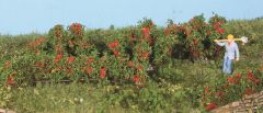 Set de Haies et Buissons de 0.7 à 3 cm – Roses