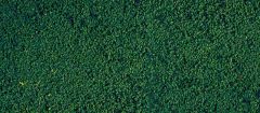 HEK1603 - Flocage vert pin en mousse 14x28cm