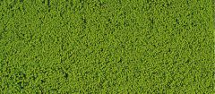 HEK1600 - Flocage verte clair en mousse 14x28cm