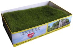 Tapis 40x40cm d'herbes sauvages sol de forêt