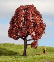 NOC20151 - Arbre de 10cm de hauteur - Hêtre rouge