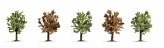 NOC25615 - Décor pour diorama – 5 arbres fruitiers en fleur Hauteur : 8cm