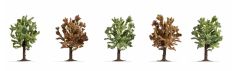 NOC25615 - Décor pour diorama – 5 arbres fruitiers en fleur Hauteur : 8cm