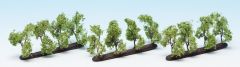 NOC21530 - 12 Arbres de plantation