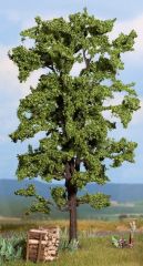 NOC21780 - Arbre de 18.5 cm Tilleul