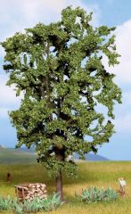 NOC21800 - Arbre de 19 cm -Châtaignier