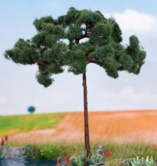 NOC21997 - Arbre de 11.5 cm - Pin parasol