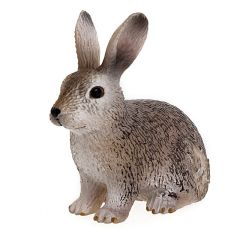 SHL14631 - Lapin sauvage
