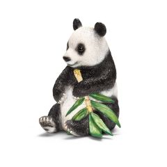 SHL14664 - Mâle , Panda géant