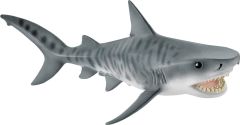 SHL14765 - Requin tigre
