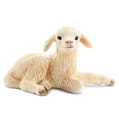 SHL13745 - Agneau, couché