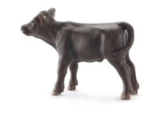 SHL13768 - Veau  de race Angus