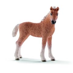 SHL13781 - Figurine de l'univers des chevaux - Poulain Bashkir Curly